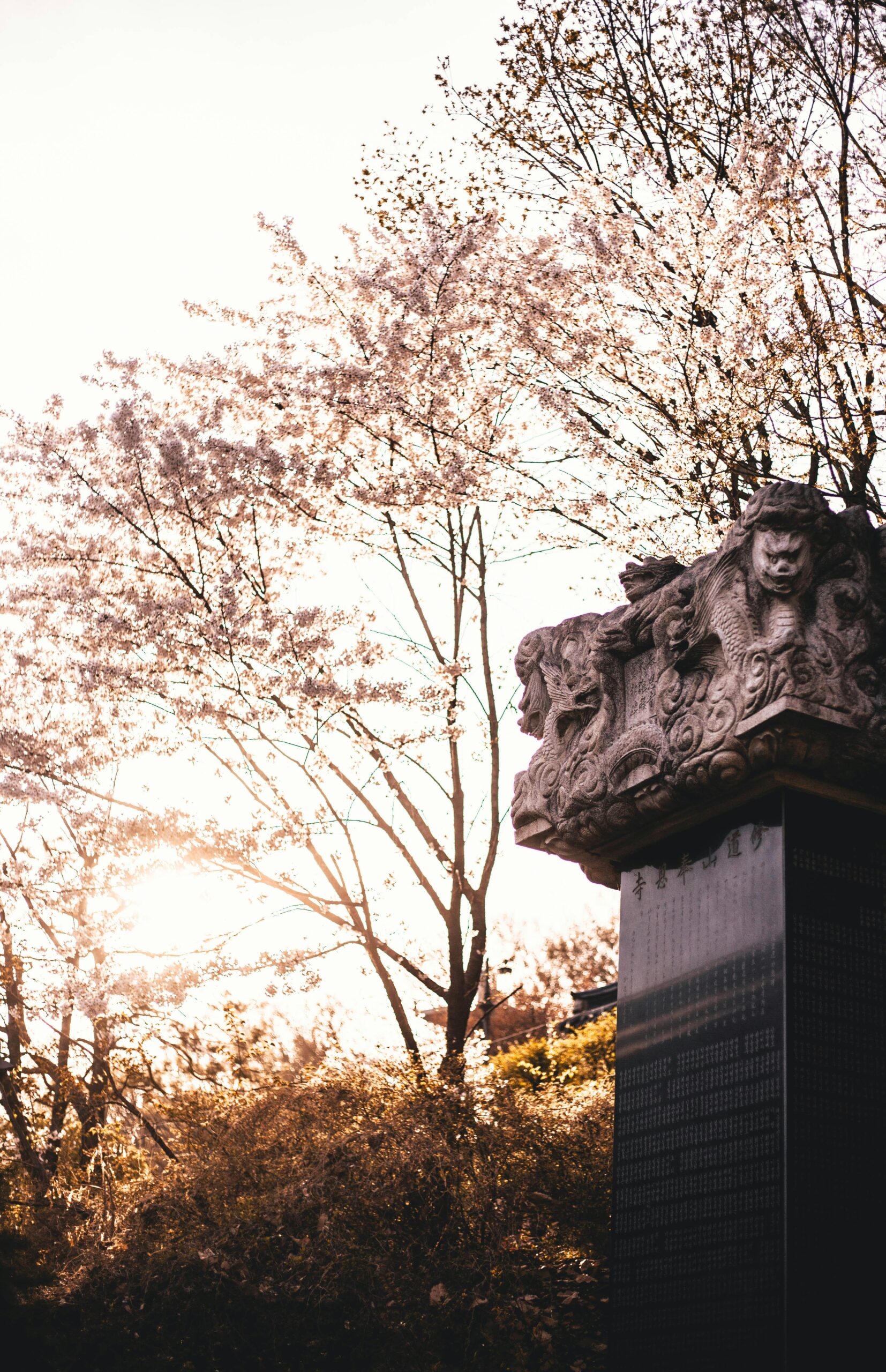 nagasaki-commemorates-80th-anniversary-of-us-atomic-bomb-attack-2