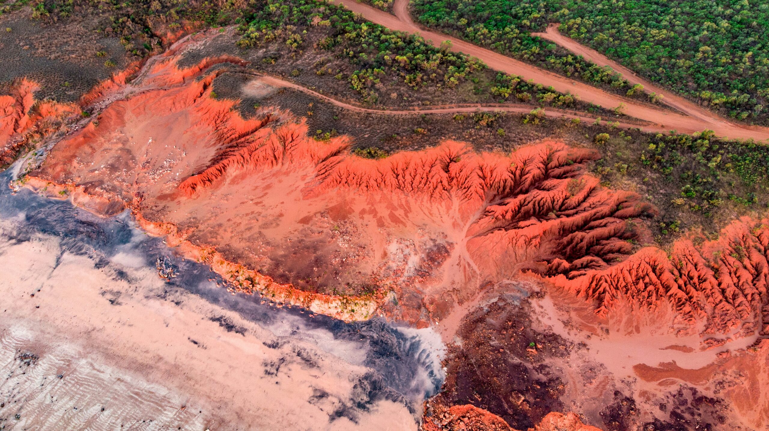 brazils-lula-vetoes-parts-of-environmental-devastation-bill-5