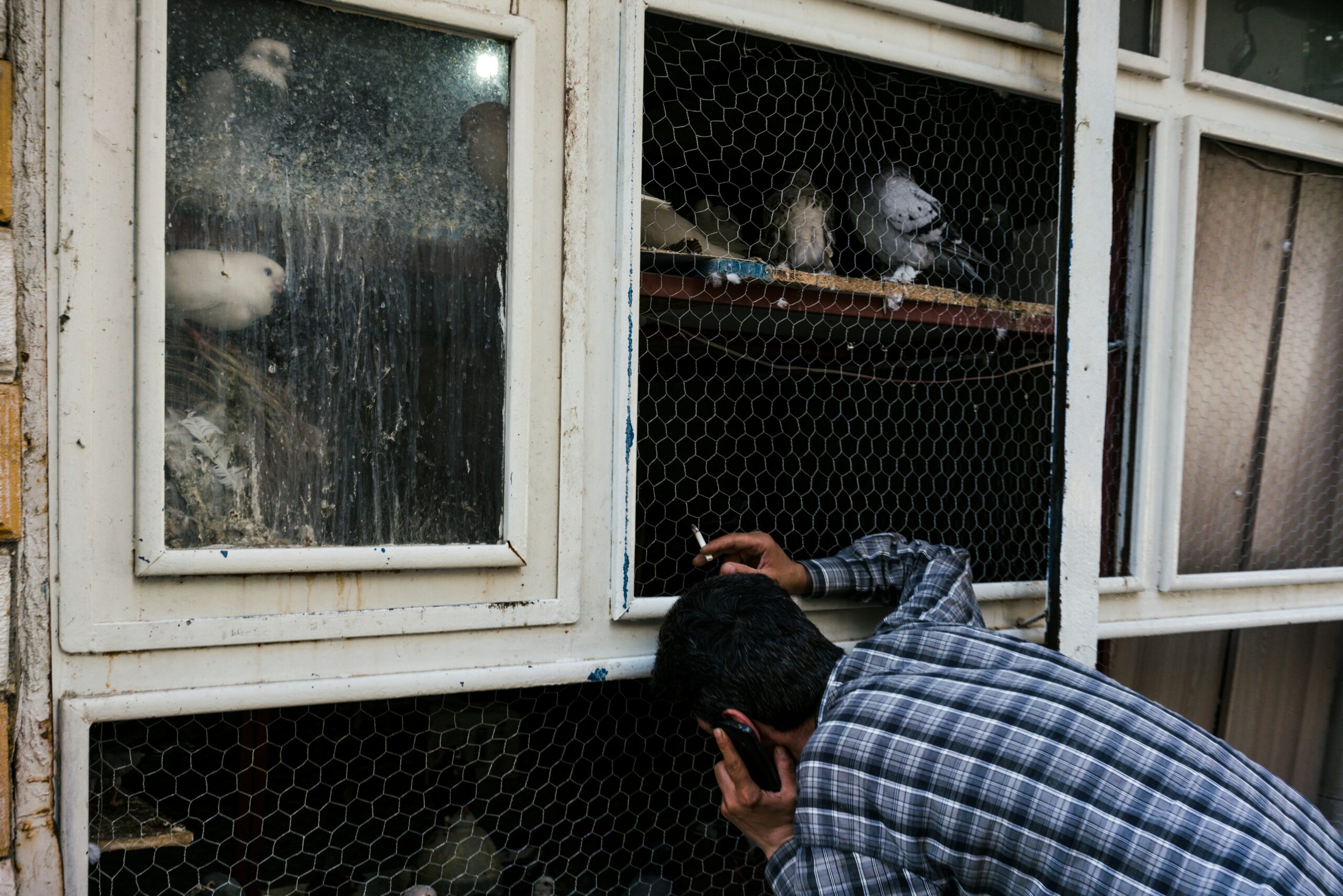 tragic-loss-in-gaza-five-al-jazeera-journalists-killed-amidst-escalating-conflict