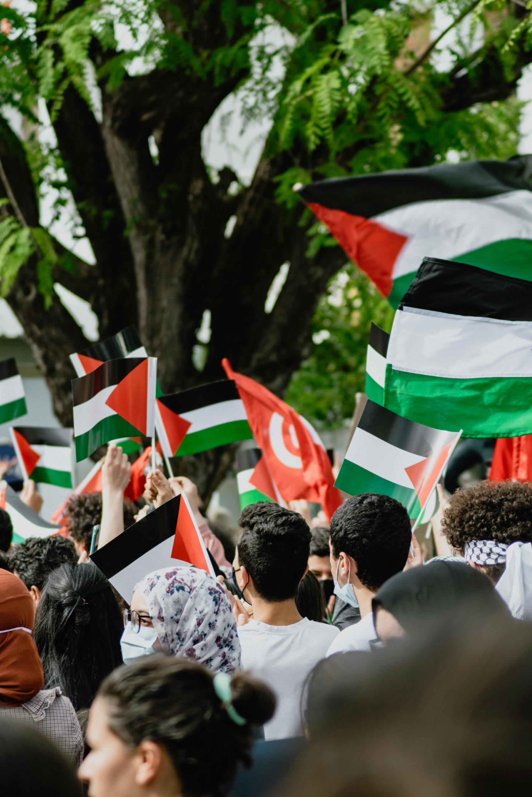 controversial-talks-on-forced-transfer-of-palestinians-between-israel-and-south-sudan-draw-international-criticism