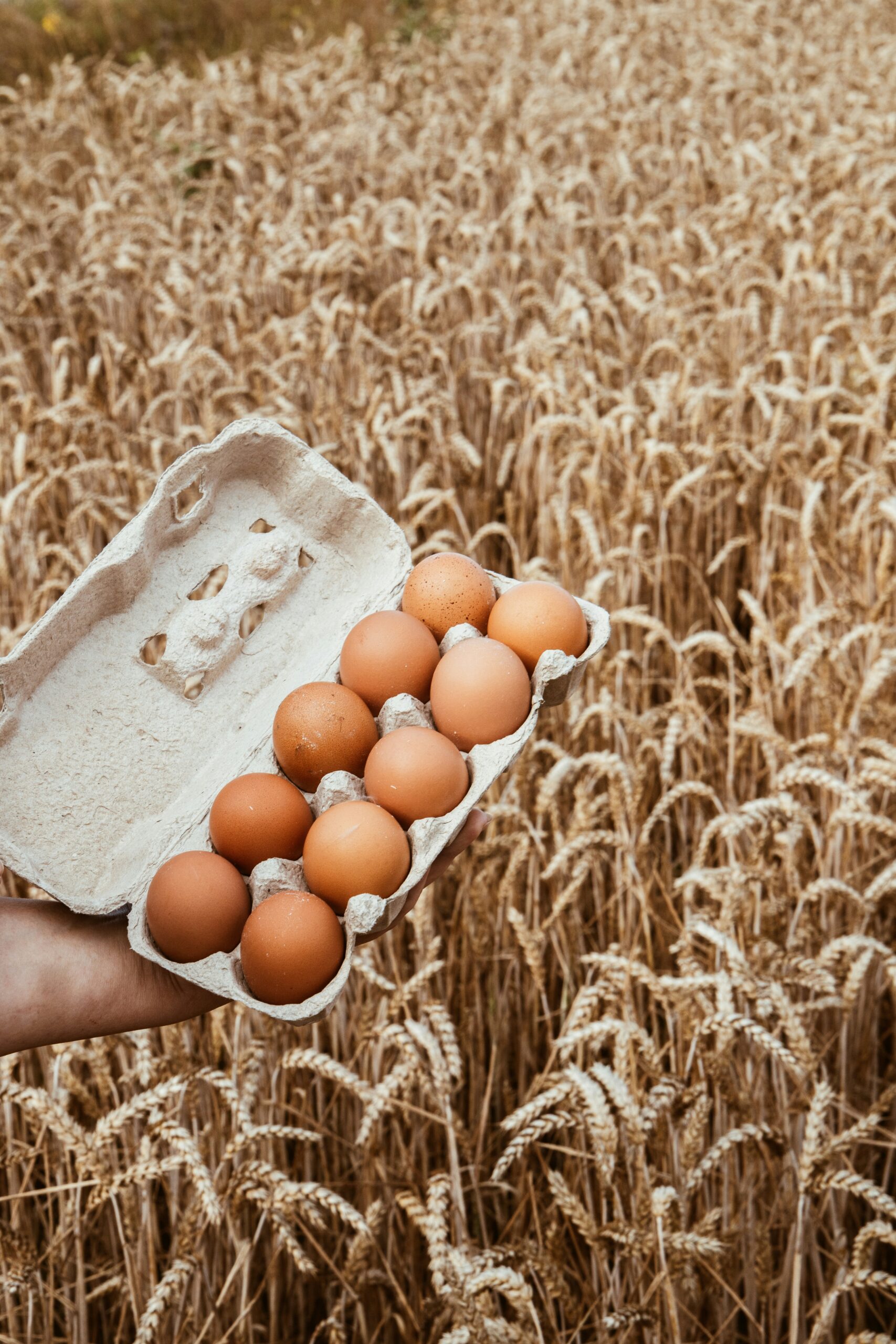 systematic-starvation-how-food-control-has-shaped-western-domination