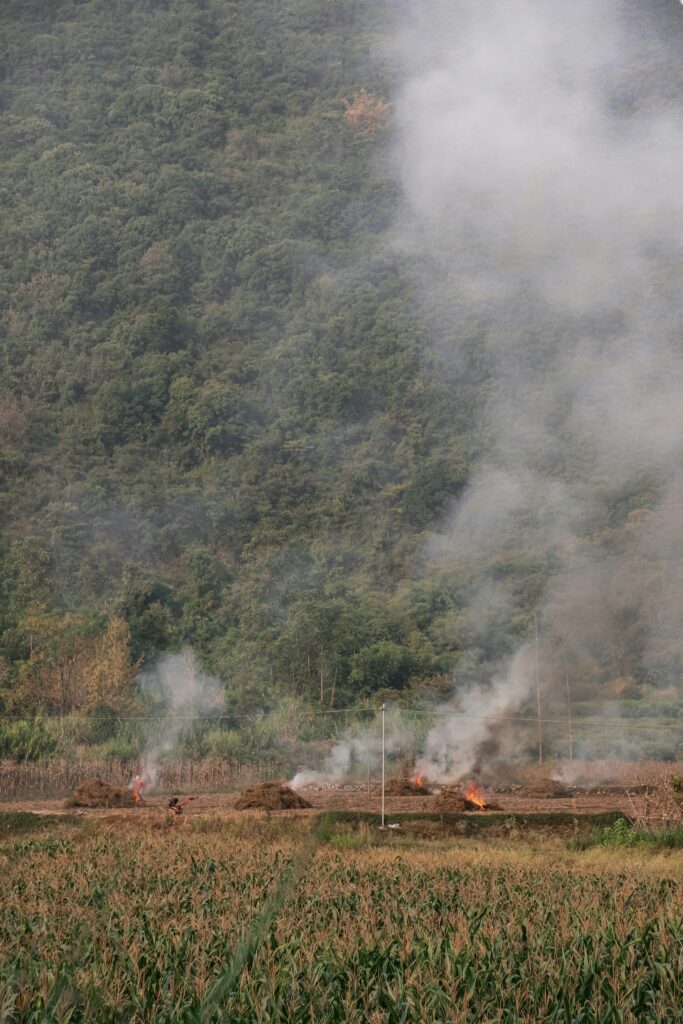 South Korea battery plant fire

