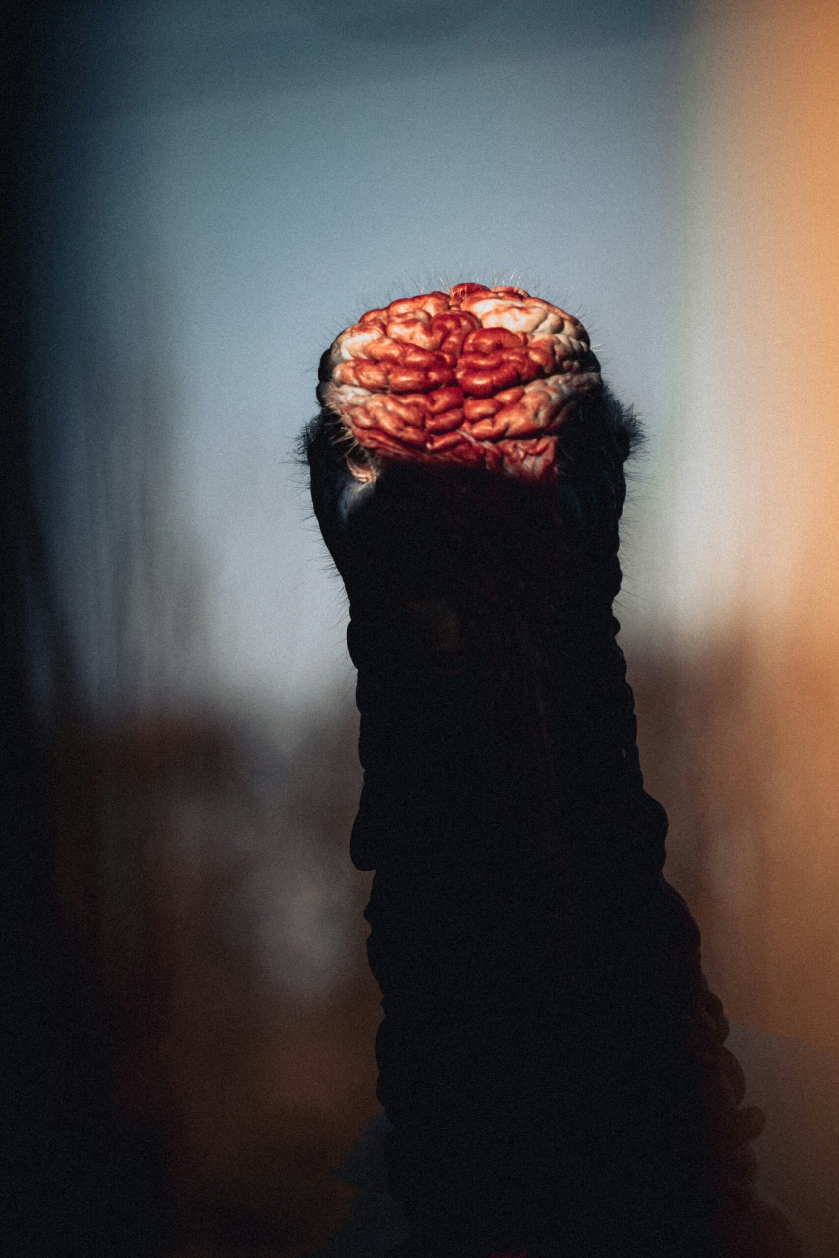 the rare disease that stops us feeling fear